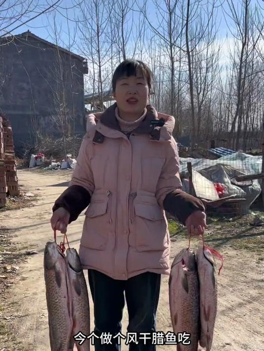 买了几条鱼做个风干腊鱼
