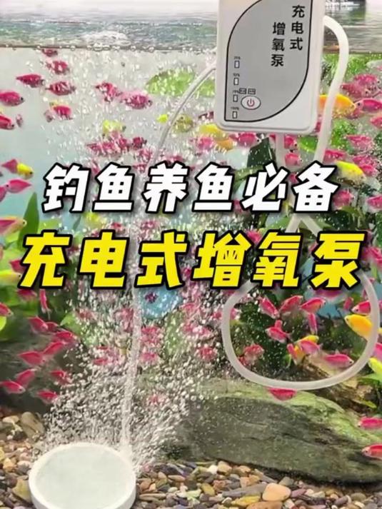 这才是续航时间持久的增氧泵,户外家用养鱼都可以小体积大气量