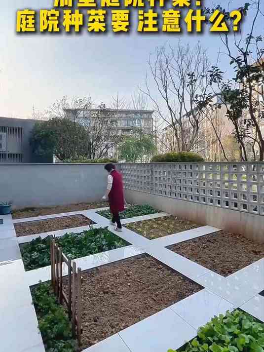 庭院花园想种菜园?在上海别墅庭院种菜需要注意什么?