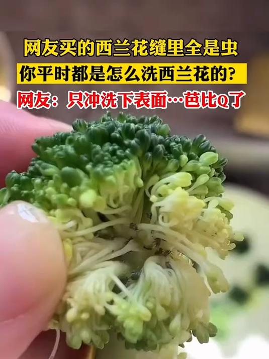 从不洗菜的老公都推荐食材净化机,蔬果农残一键搞定!今日才这价