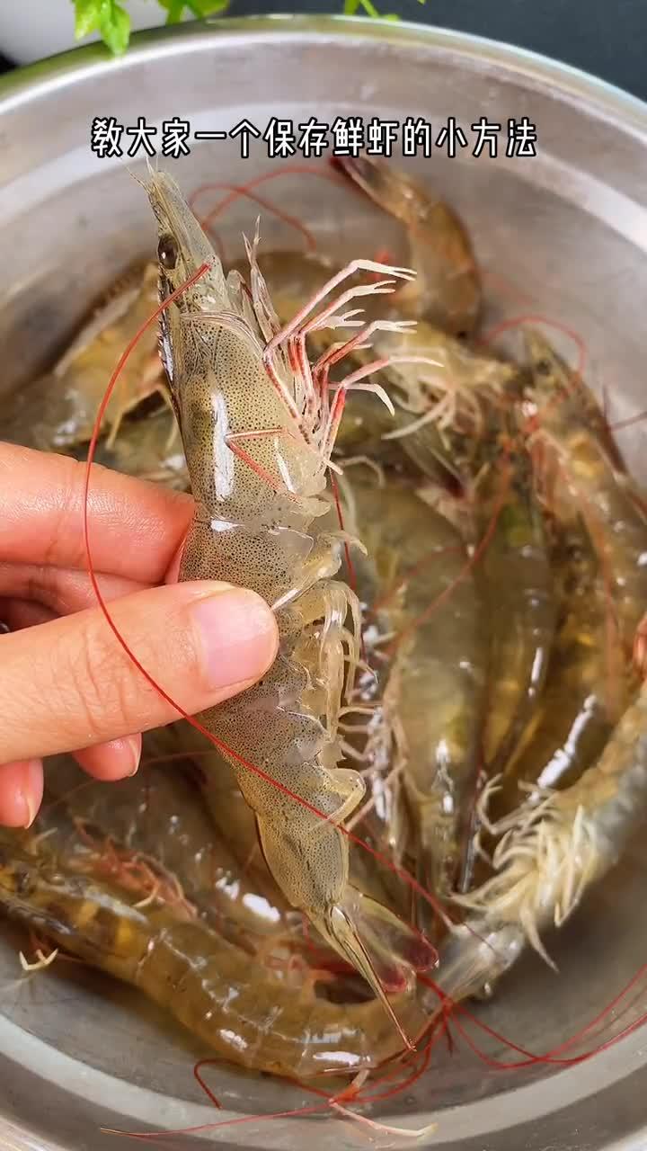 在东北不沿海的城市,只有这个季节可以吃到鲜活又便宜的大虾,今天给大家分享保存鲜虾
