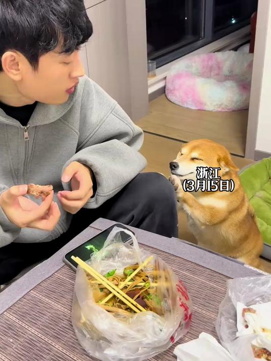 男子买绝味“鸭脖”回家吃饭,“结果狗为了吃的变成了表情包”