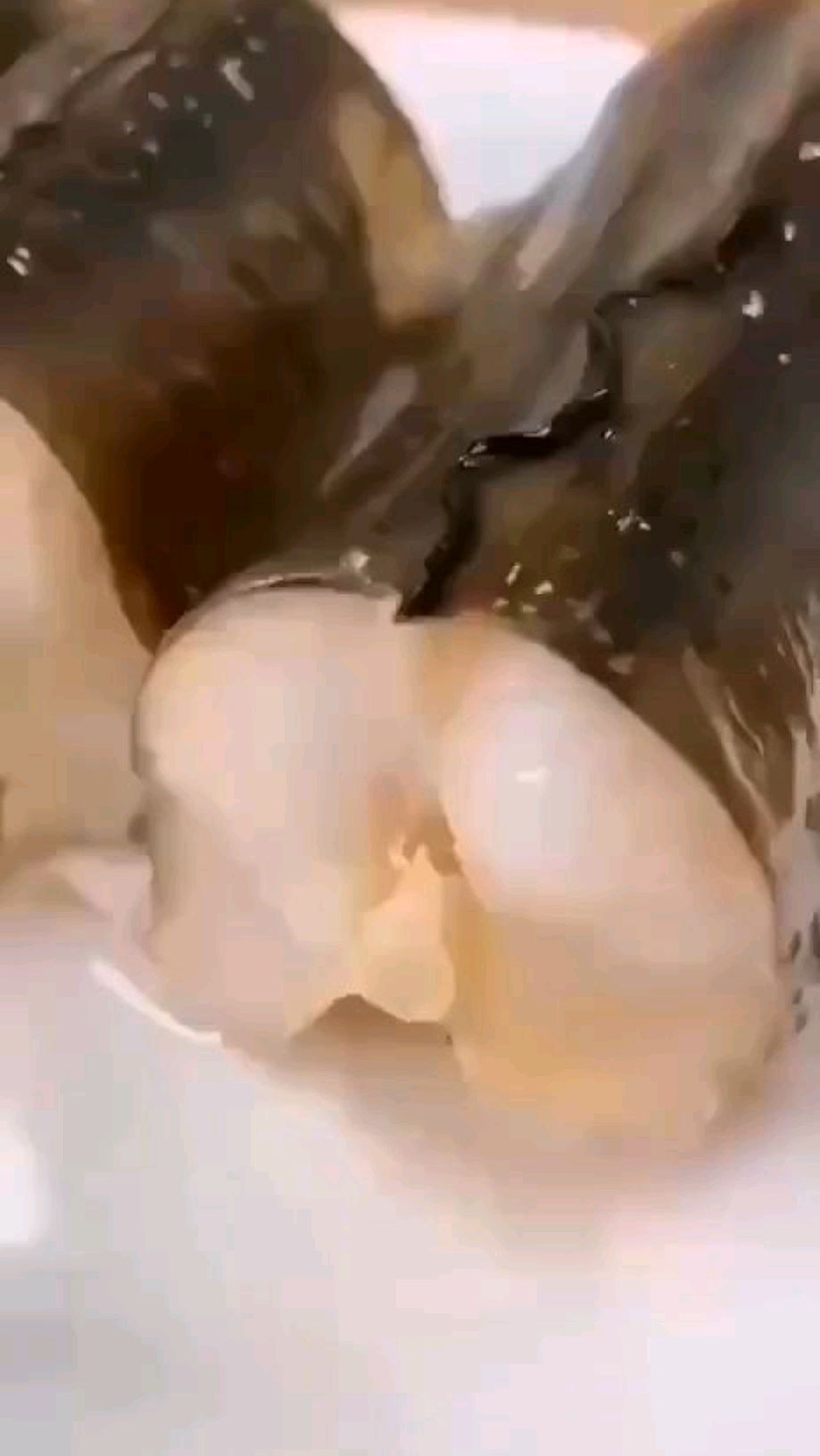 特别嫩的清蒸鲶鱼,非常鲜美
