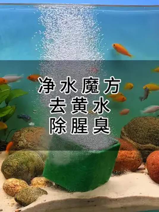 鱼缸水黄臭?别愁!用净水魔方,还你清澈好水!