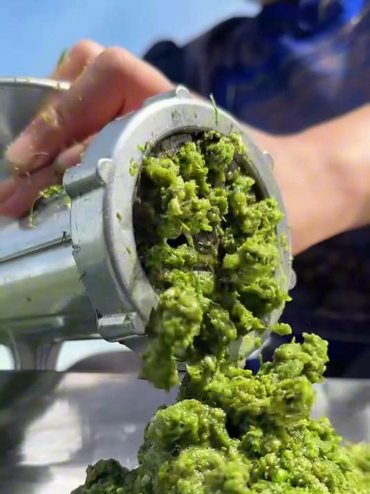 我家回购 3 年的韭菜花酱!不管蘸啥都好吃,真心推荐!