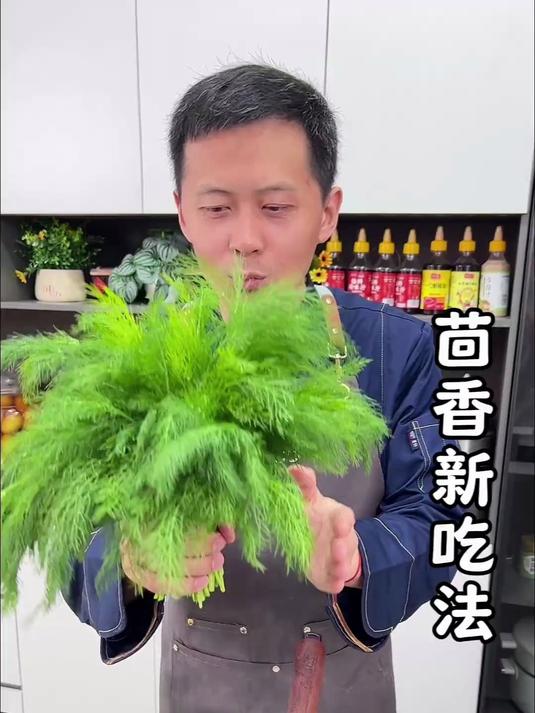 茴香新吃法