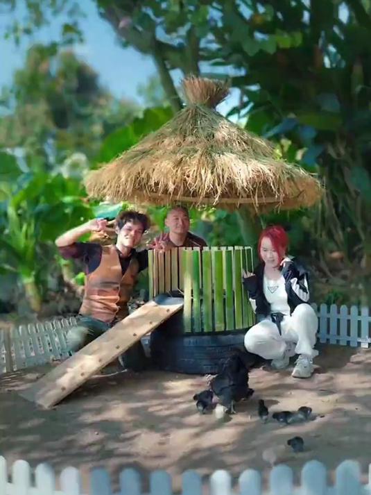 做了个庭院别墅给母鸡一家子住,你们觉得怎么样!