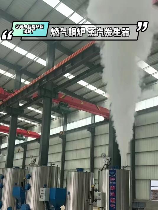 燃气锅炉 蒸汽发生器