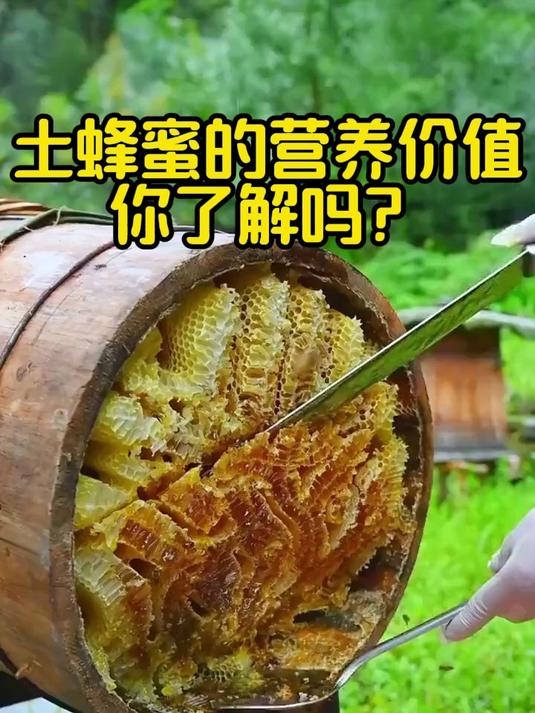 为什么土蜂蜜更珍贵?你了解土蜂蜜的营养价值吗?#土蜂蜜##美容养颜##滋阴润肺##养生#