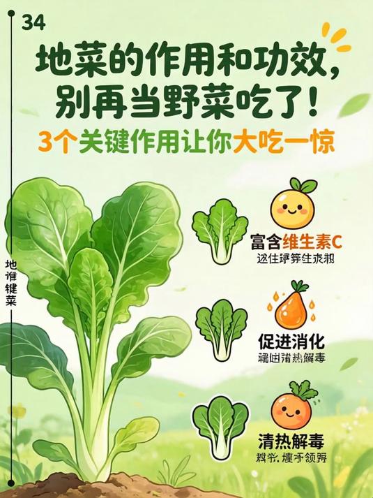 地菜的作用和功效,别再当野菜吃了!3个关键作用让你大吃一惊