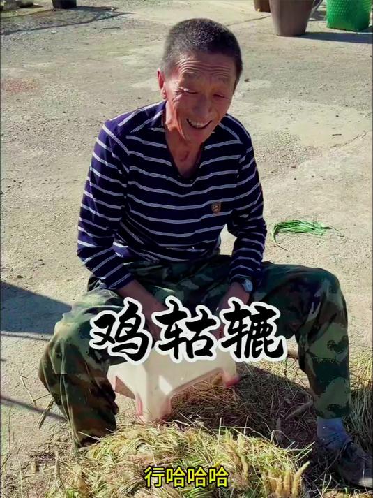 榛蘑晒好，小鸡下蛋了，今天做鸡窝，吃不到鸡就吃蛋