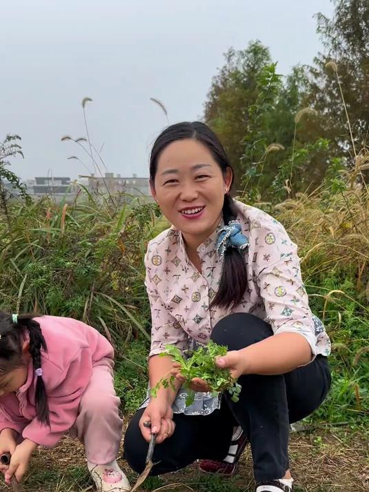 每年到荠菜成熟之时,我都会挖来包荠菜饺子