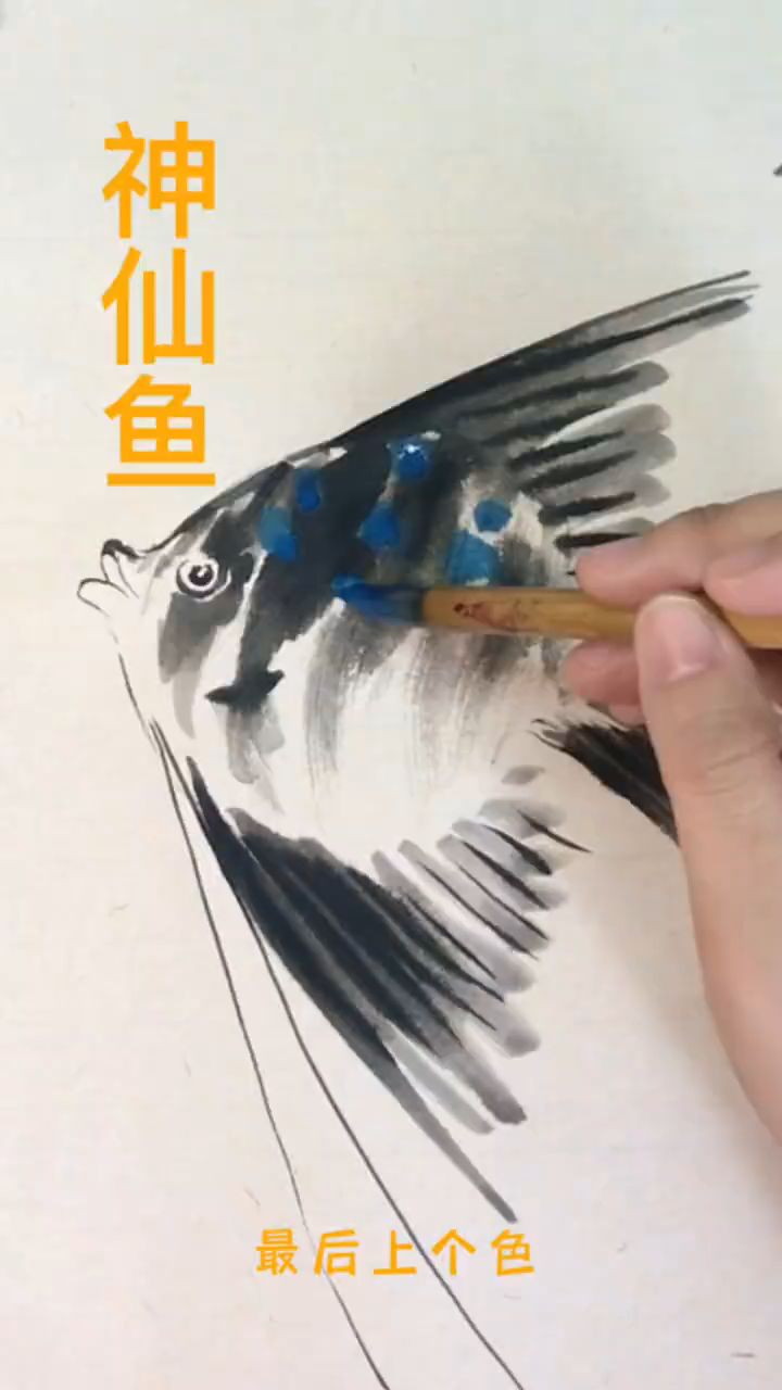 简单的神仙鱼画法