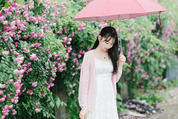 图片[10]-雨中蔷薇-六色网