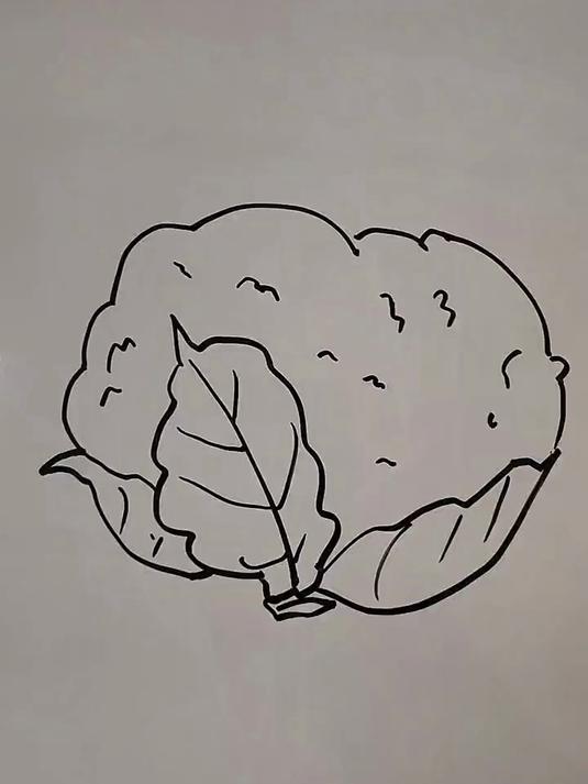 简笔画教程——菜花