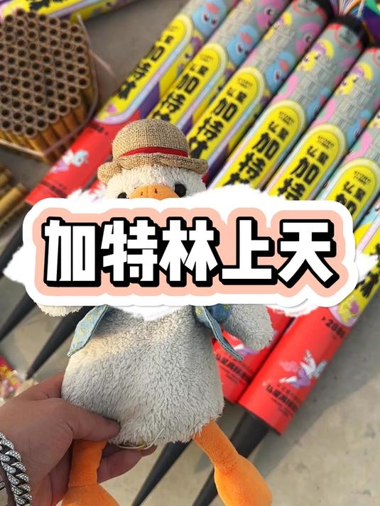 信不信我用加特林送你上天