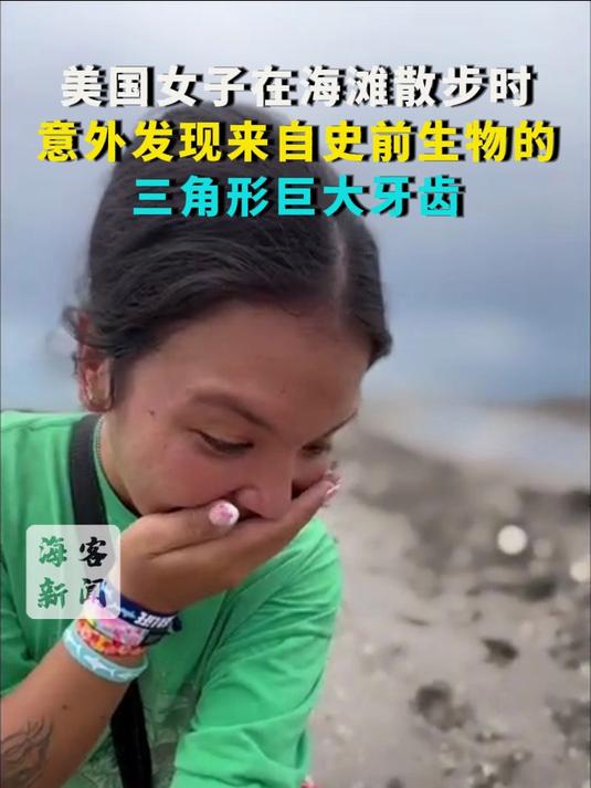 美国女子在海滩散步时 意外发现来自史前生物的三角形巨大牙齿