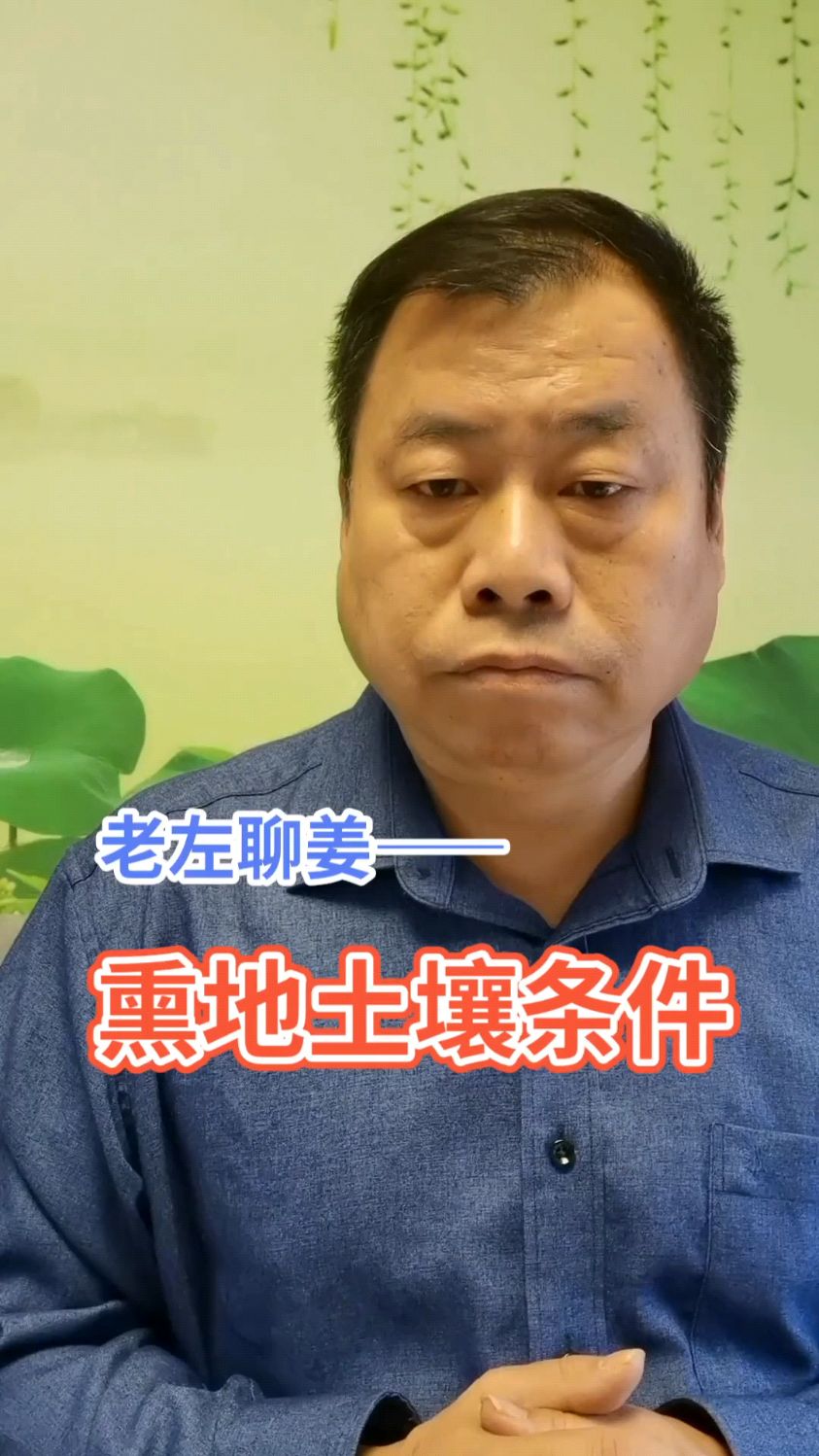 老左聊姜——熏地土壤条件