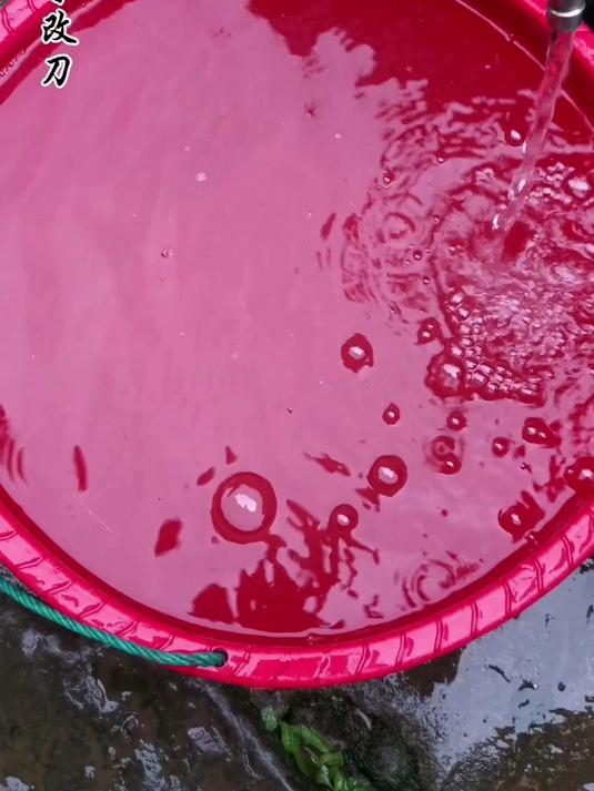 今天下雨在家没事,炖个腊肉豆米海带汤