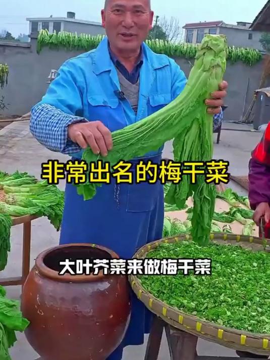 非常出门的大芥菜做的梅干菜 有吃过的吗?