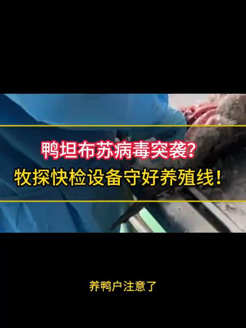 鸭坦布苏病毒突袭？牧探禽病快速检测设备守好养殖线！