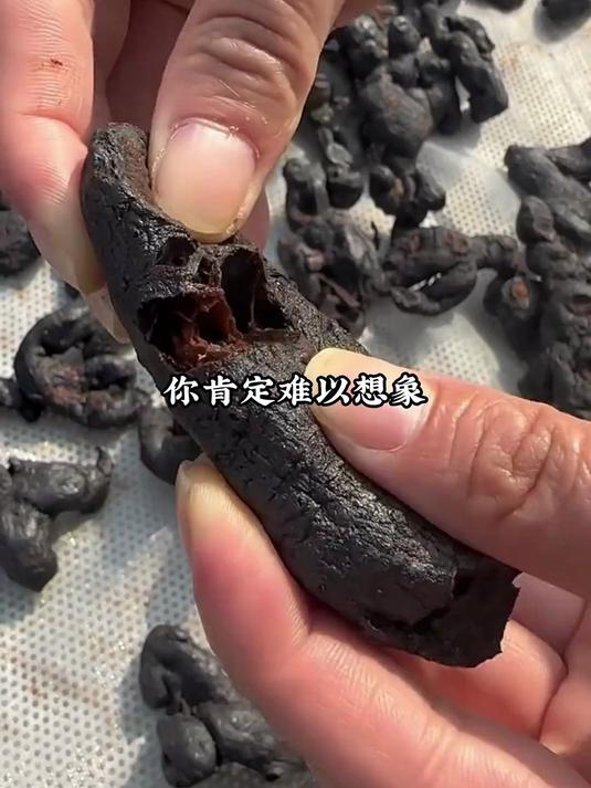 道家古法全手工，九蒸九晒鸡头果，可搭配枣泡水煲汤