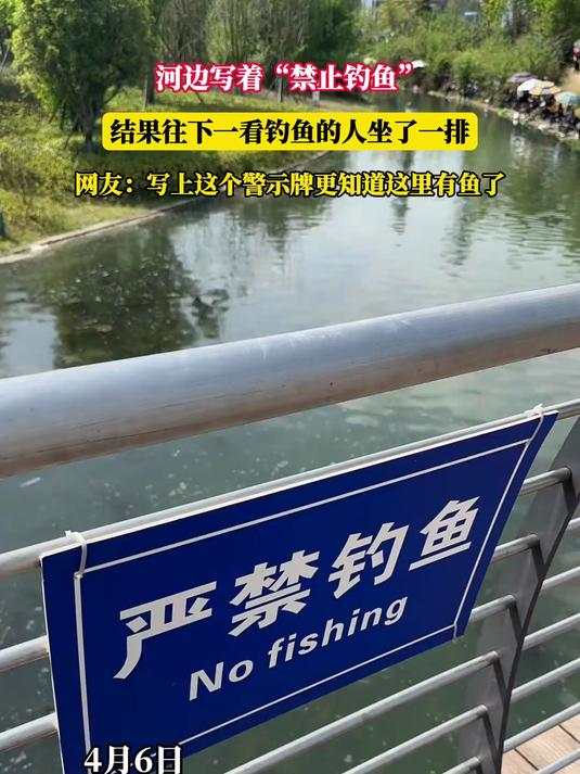 河边写着“禁止钓鱼”,结果往下一看钓鱼的人坐了一排