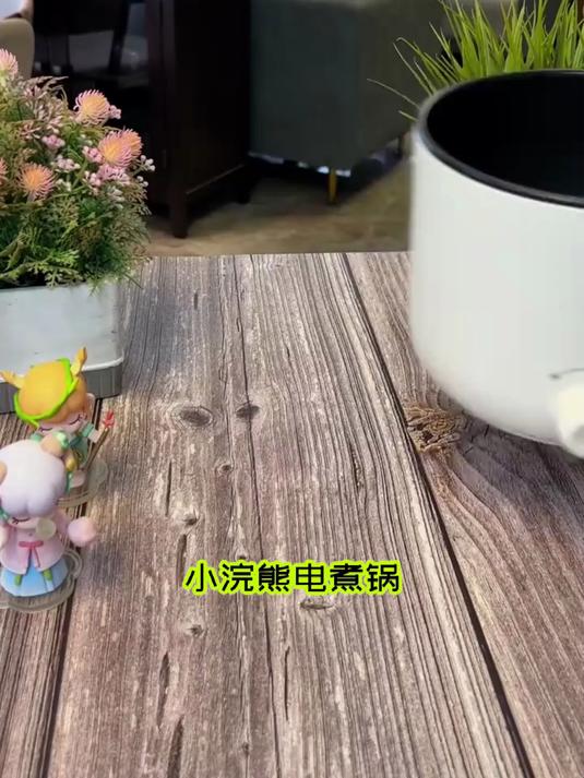 小浣熊电炖锅,小巧实用,炖汤煮粥神器!