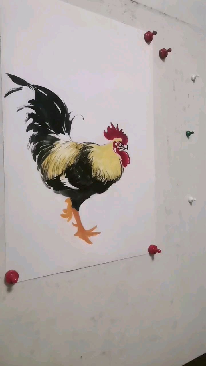 王兴民国画公鸡:绘画讲解过程