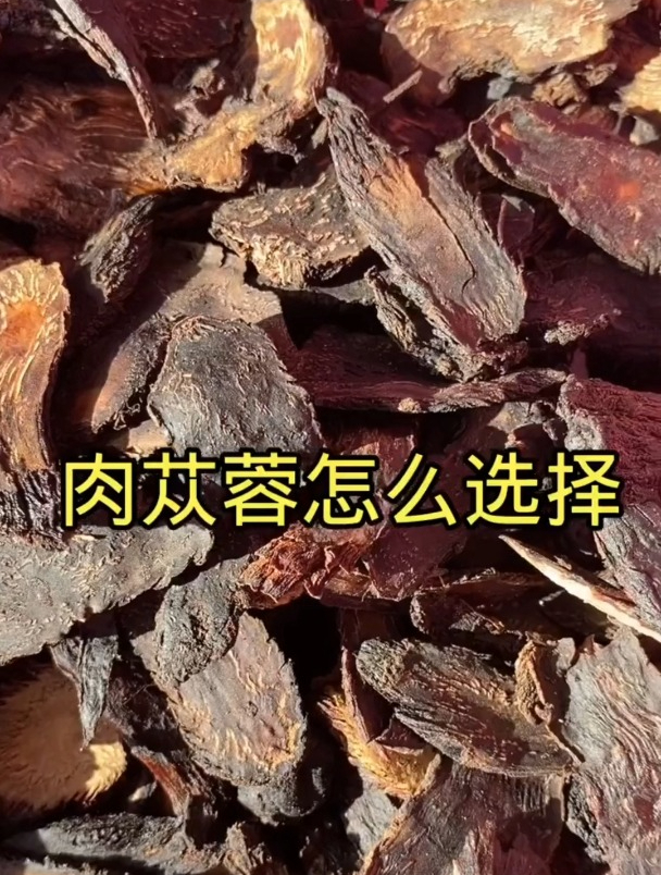 肉苁蓉怎么选择,欢迎家人们了解