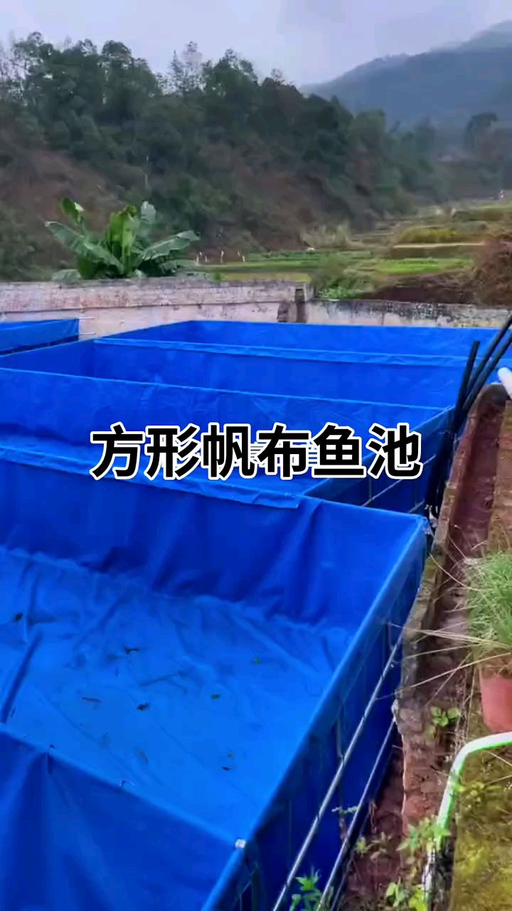 方形帆布鱼池排污 #高密度养殖 #水产人 #镀锌板帆布鱼池