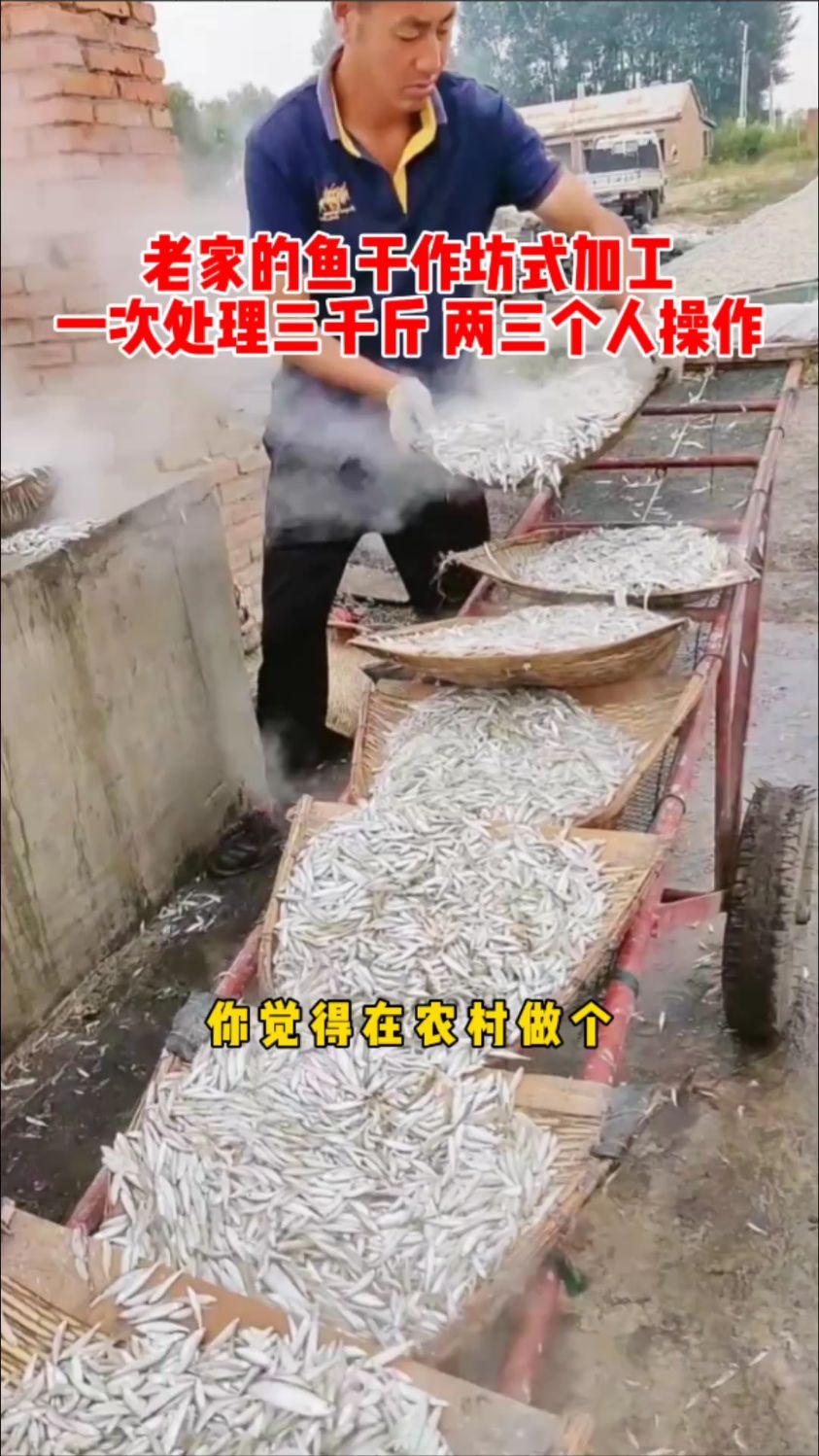 鱼干烘干机,小鱼干烘干机,食品烘干机