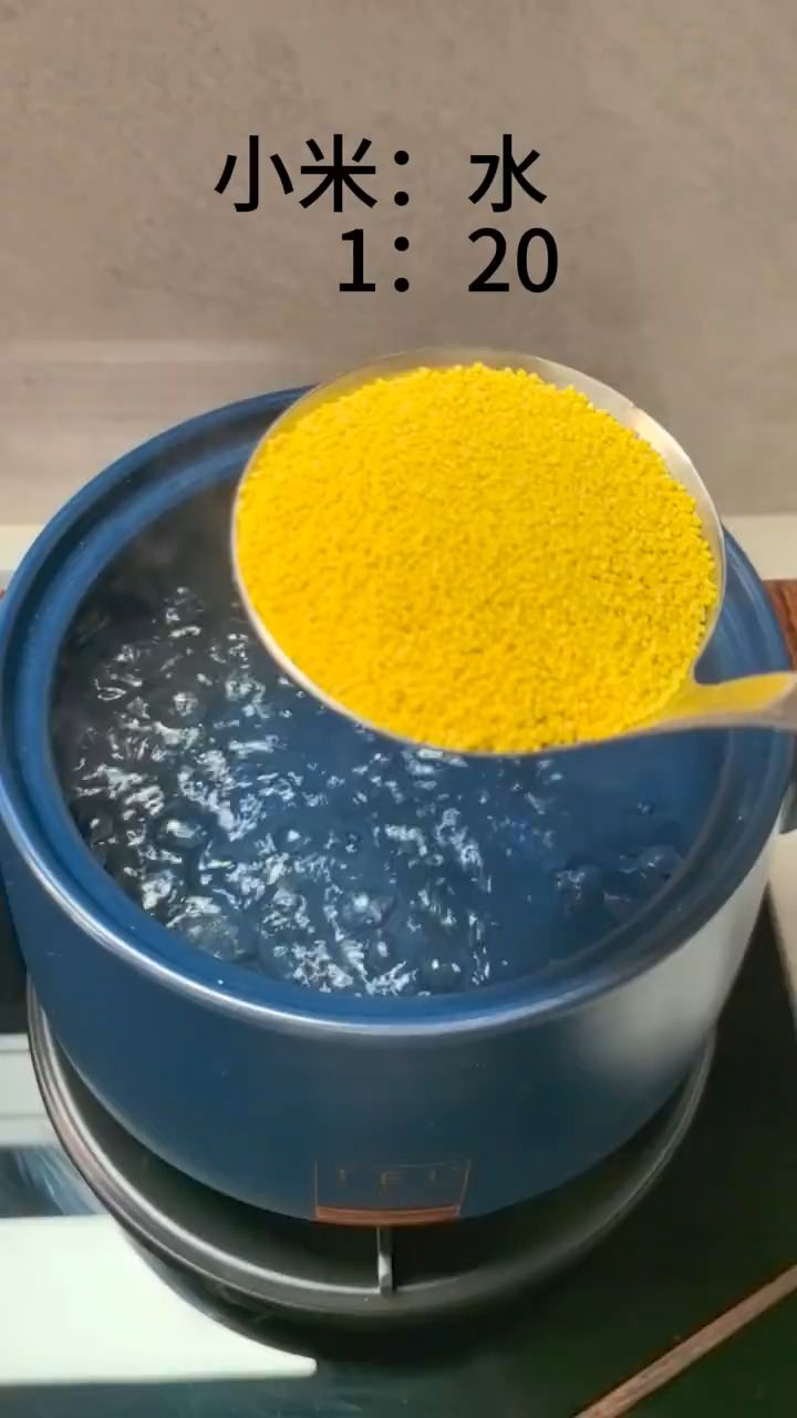 小米煮粥水米比例!