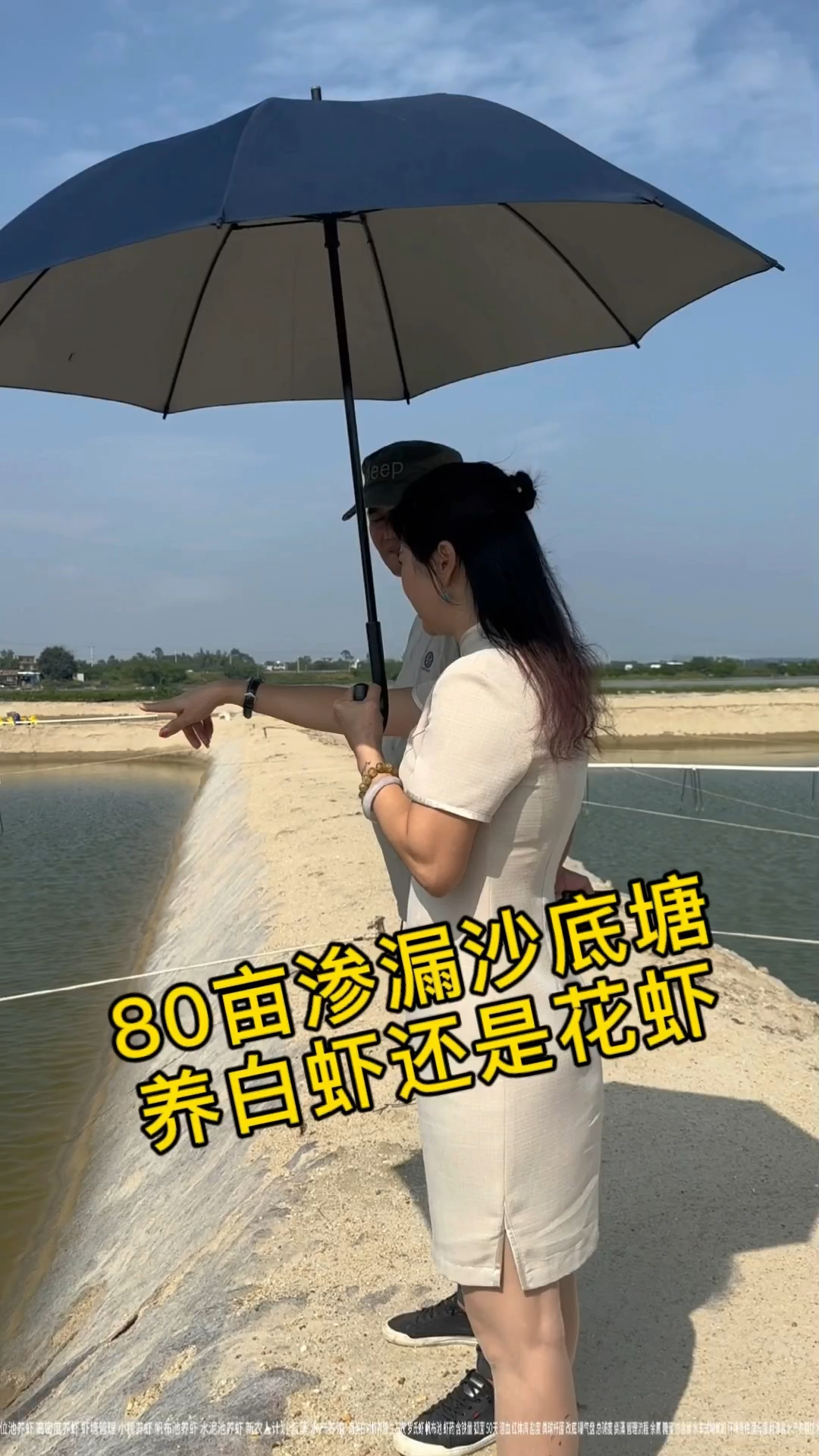 这80亩沙底塘,每天渗漏5公分水,是养白虾好还是花虾好?#南美白对虾养殖