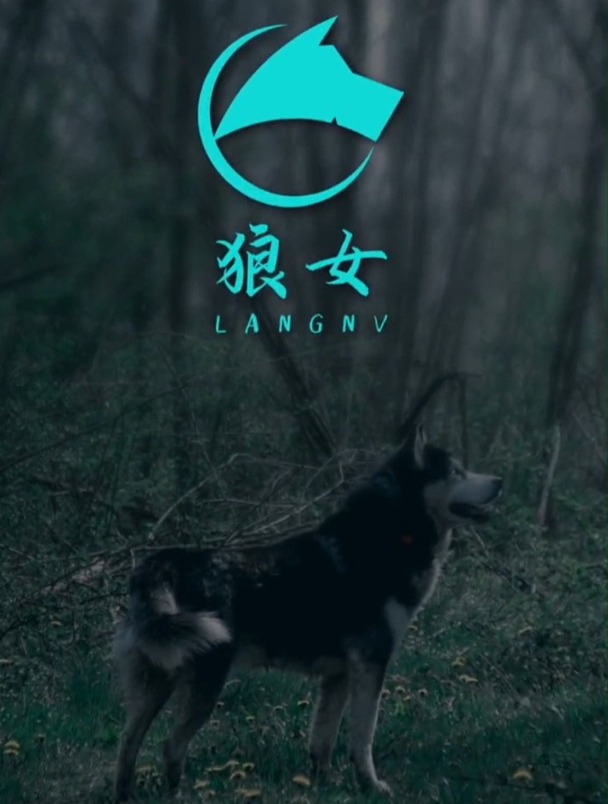 就是这个logo差点把我掏空,成品完成那一刻,这创意太牛了!