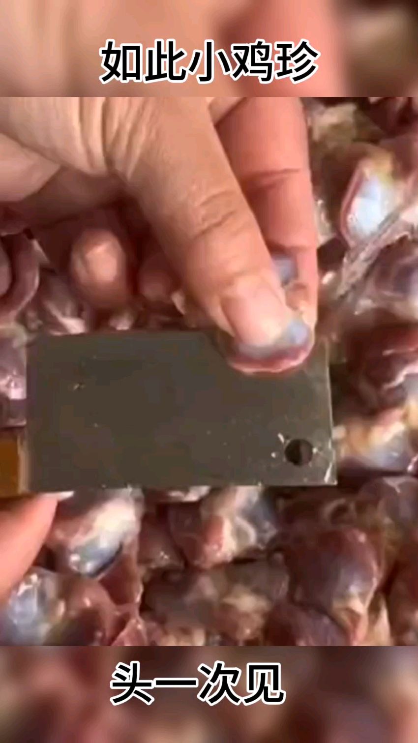 如此小的鸡胗,真是头一次见
