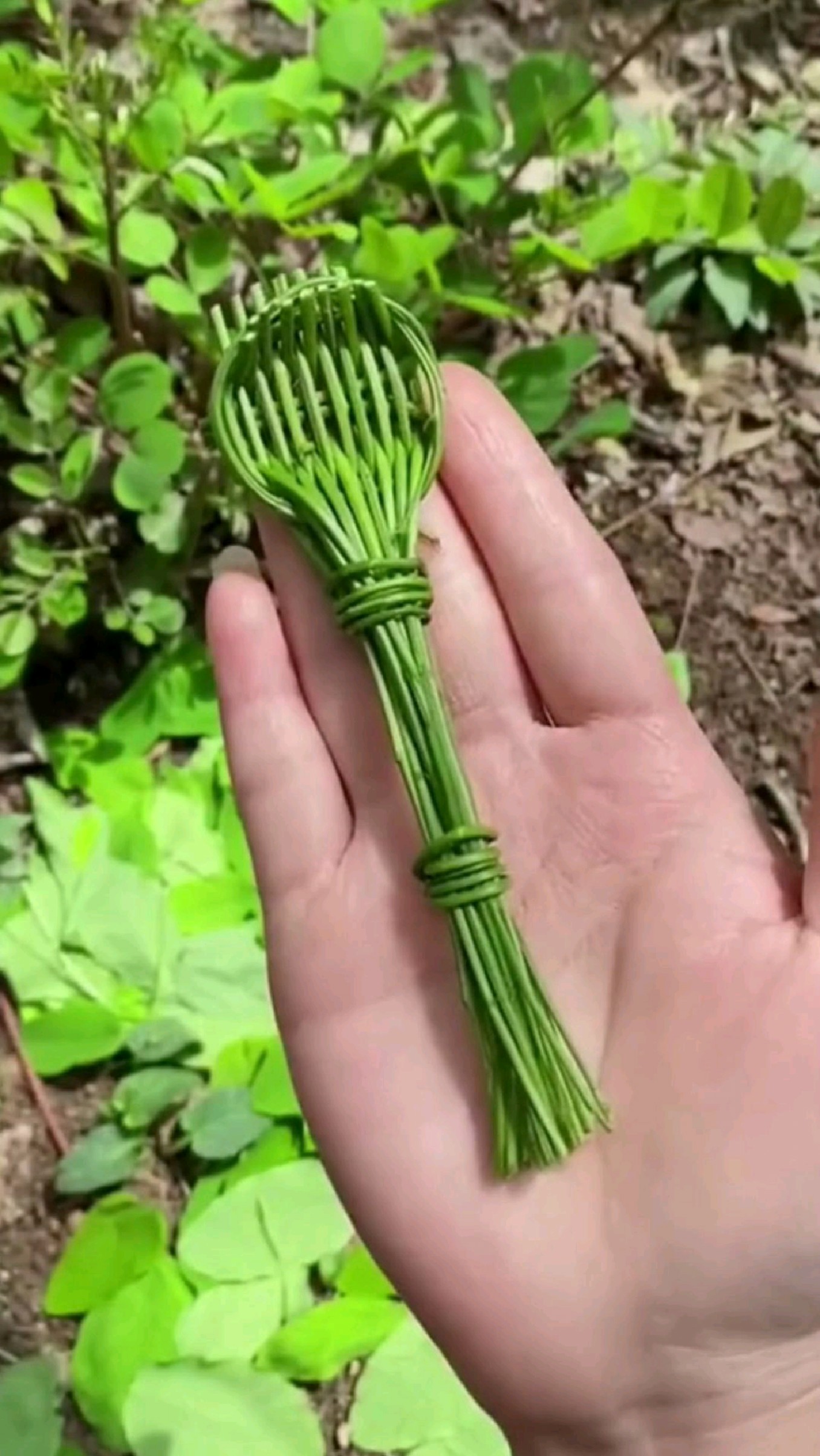 如何用树枝制作一个勺子?这真是一件艺术品啊!