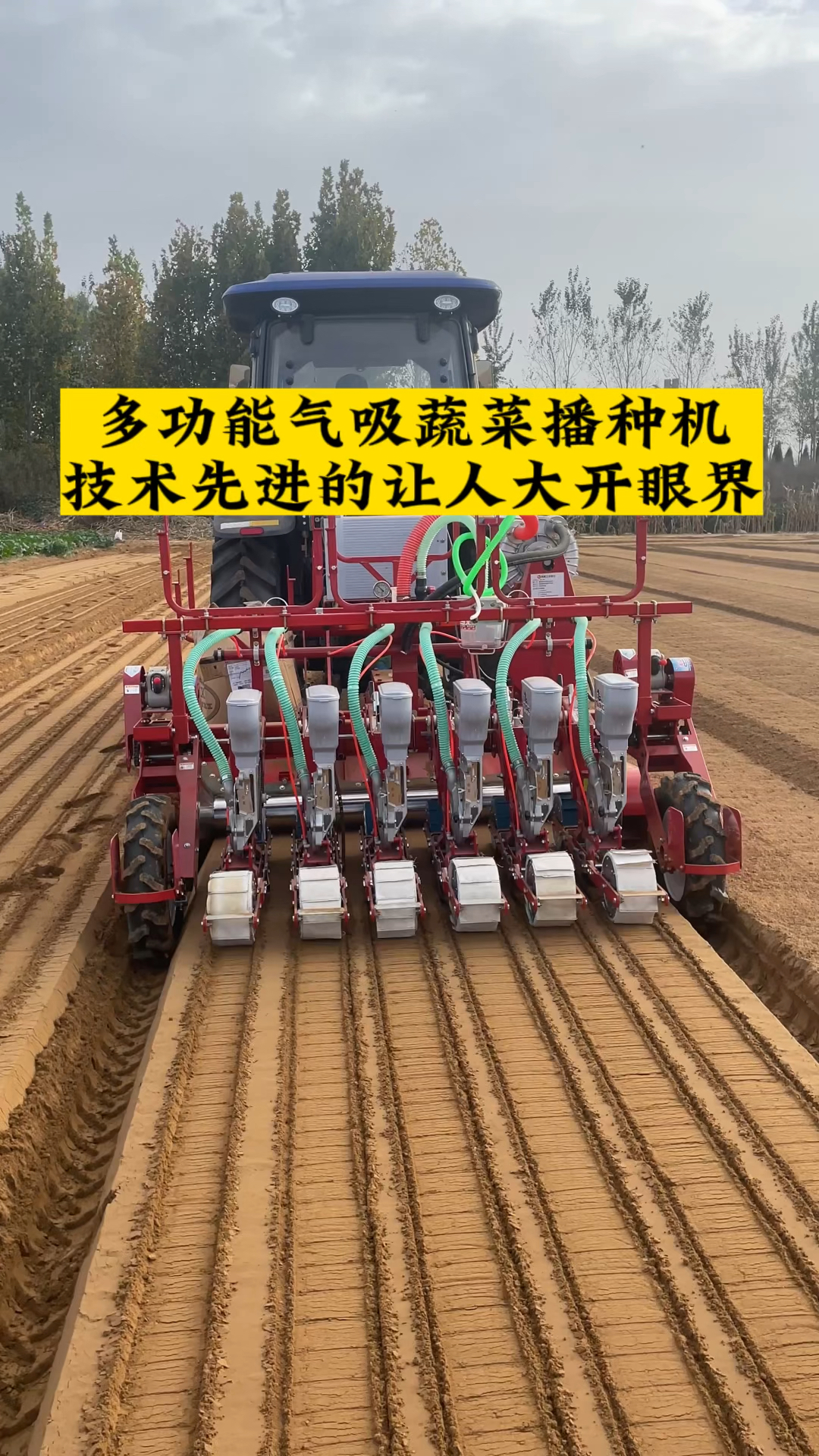青岛大顺多功能气吸蔬菜播种机技术先进的让人大开眼界