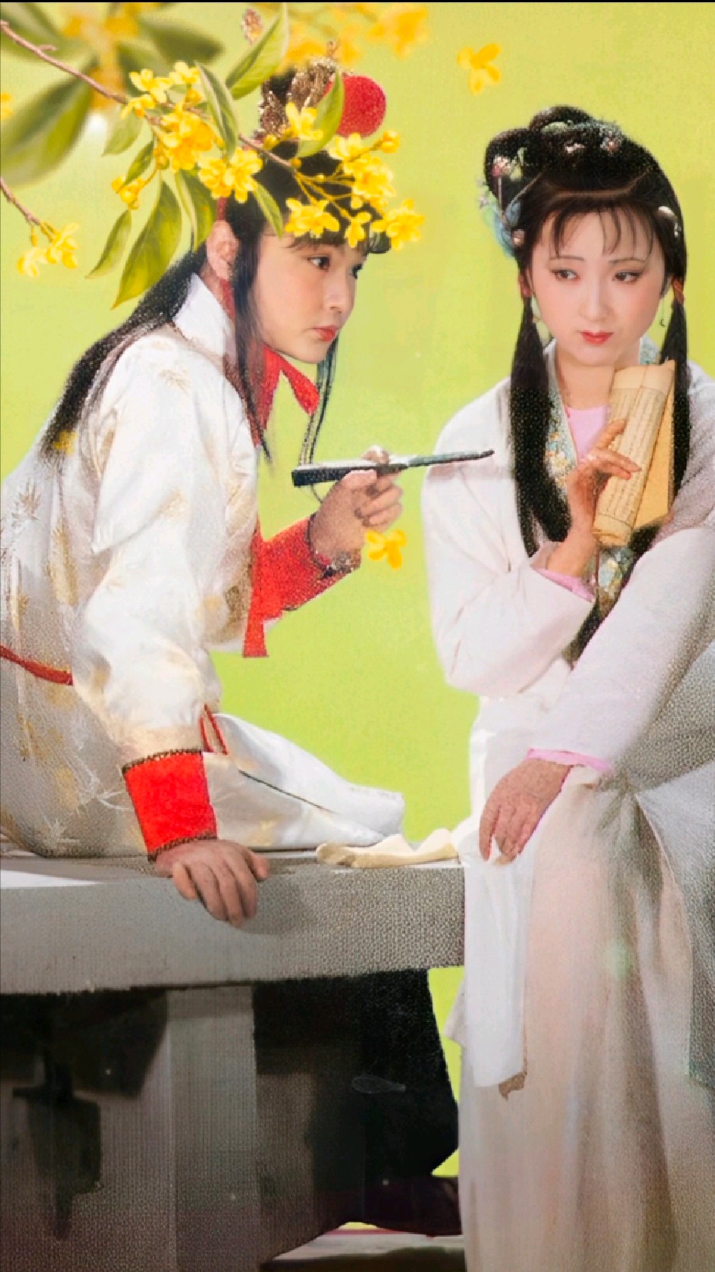 贾宝玉林黛玉