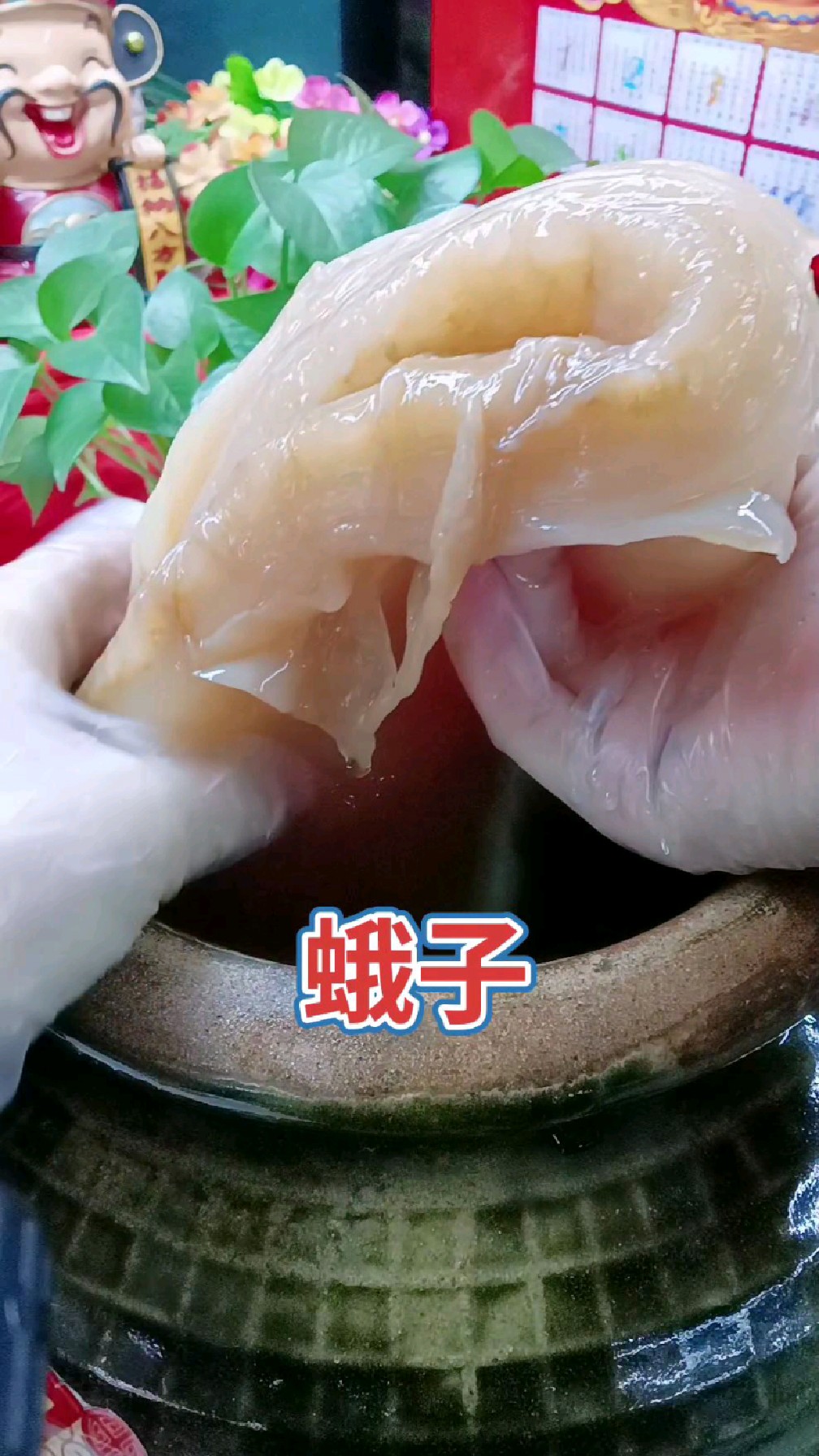 #东北特色美食 #东北特产 #醋蛾子,凉拌很好吃,菌汤更好喝