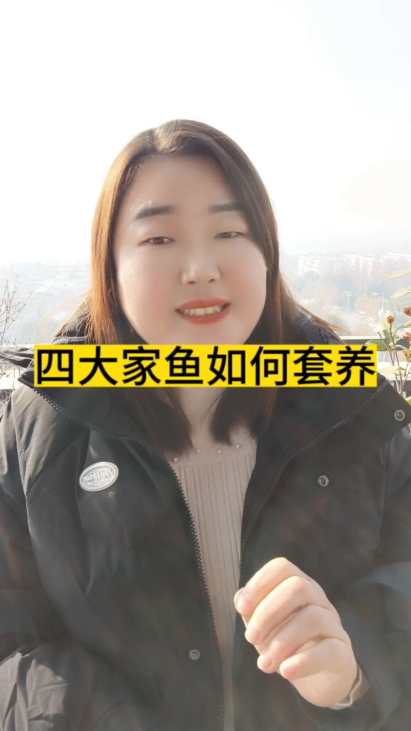 四大家鱼如何套养