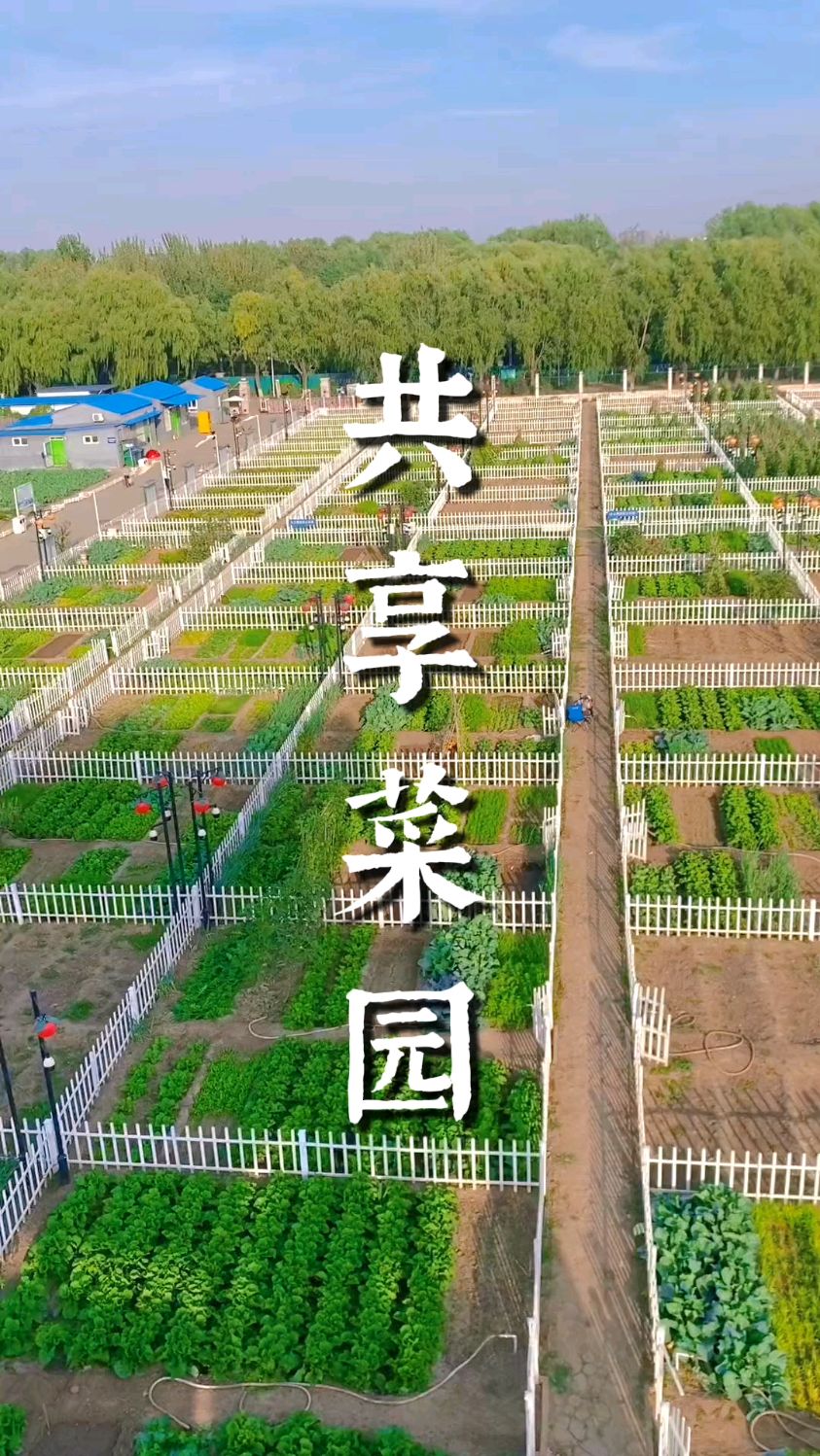 农庄打造共享菜园,带动景区客流量