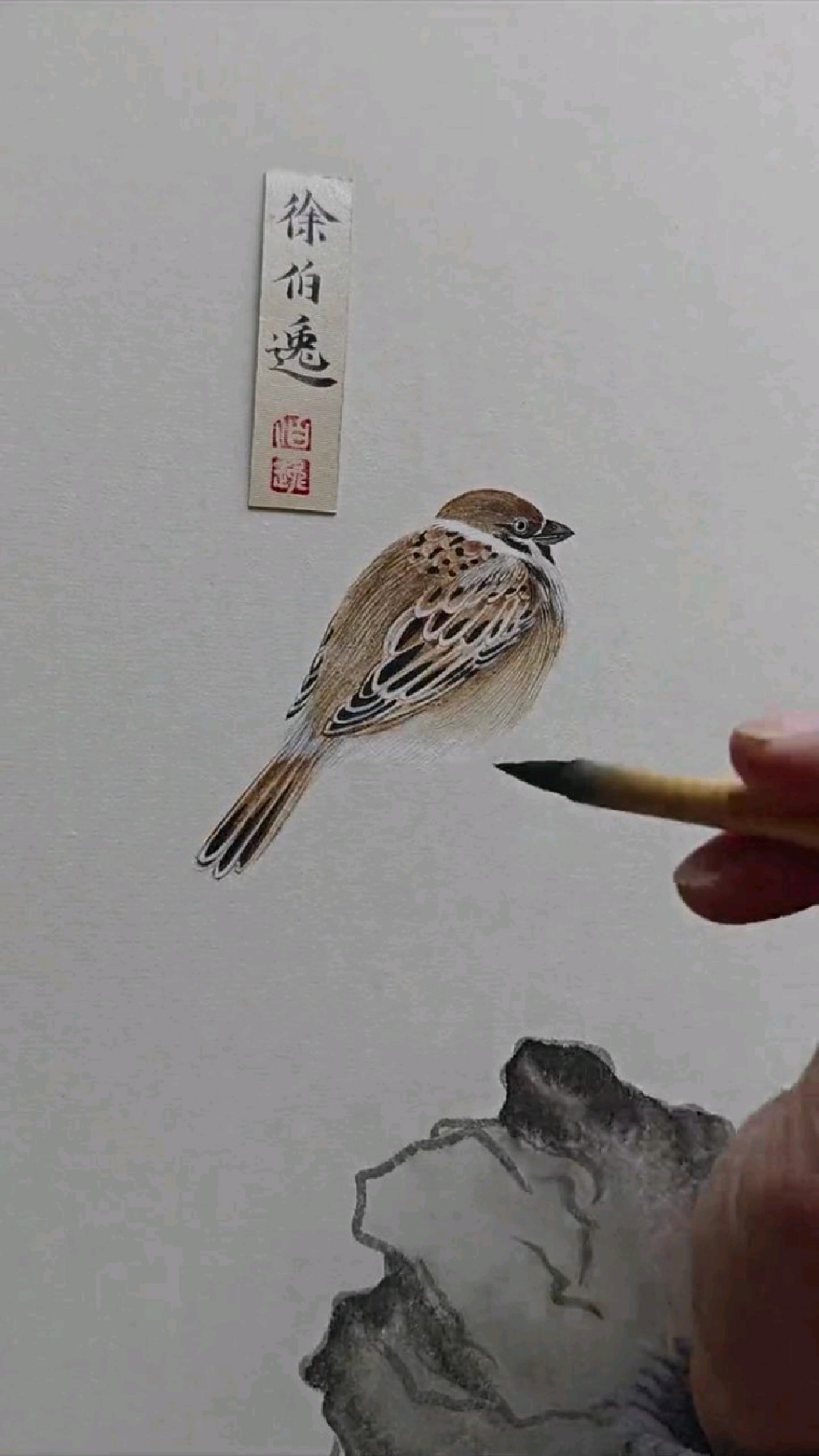 画一只小麻雀。