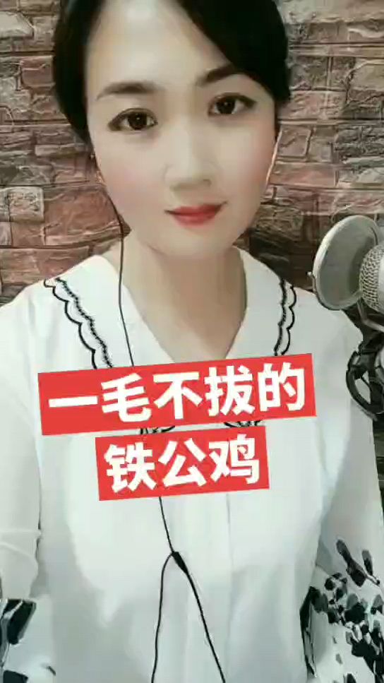 一毛不拔的铁公鸡。