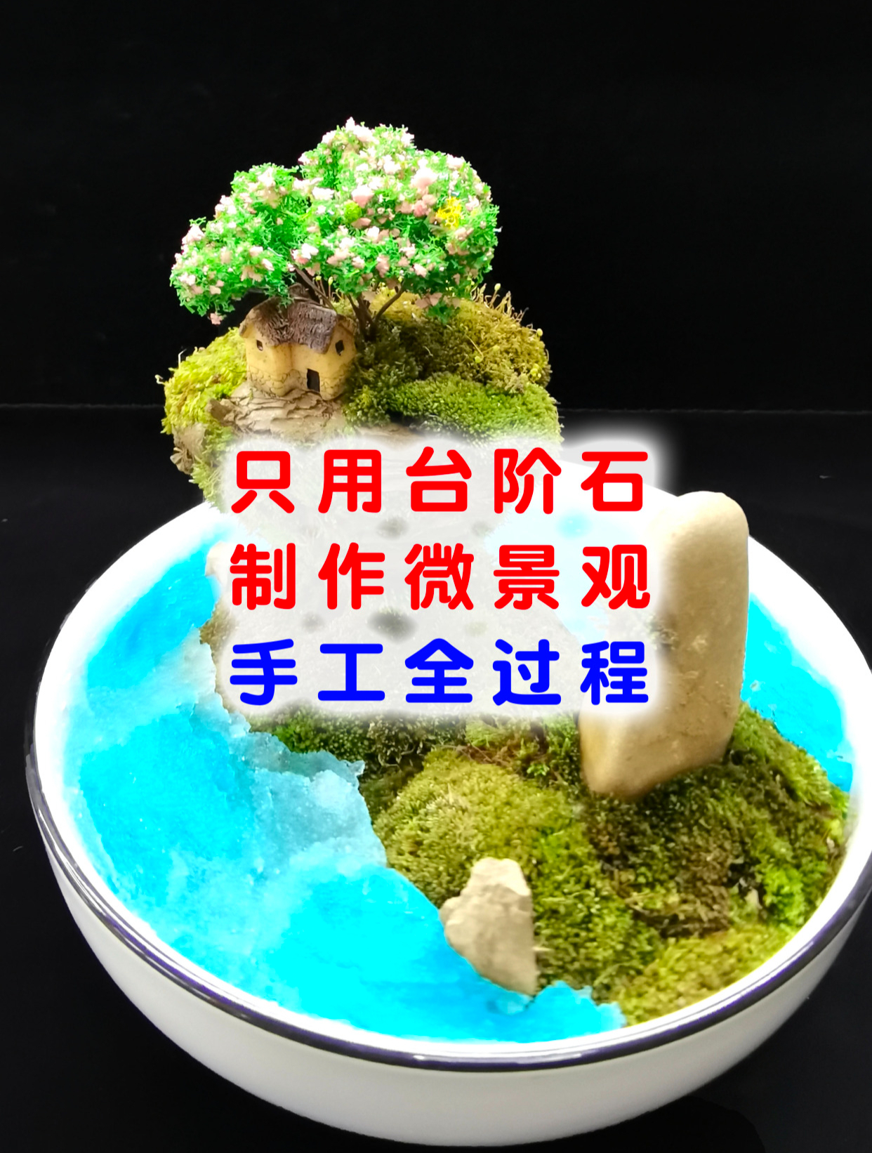 手把手只用台阶石,教你制作苔藓微景观全过程