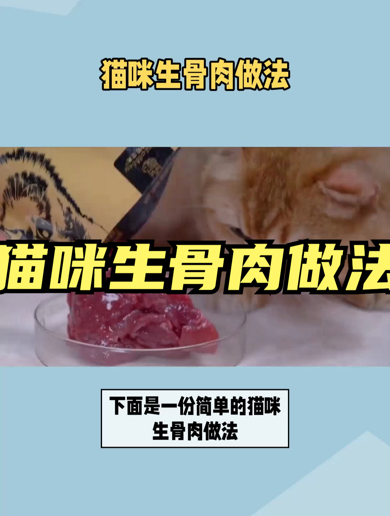 猫咪生骨肉做法:专家教你如何为猫咪制作营养丰富的生骨肉!