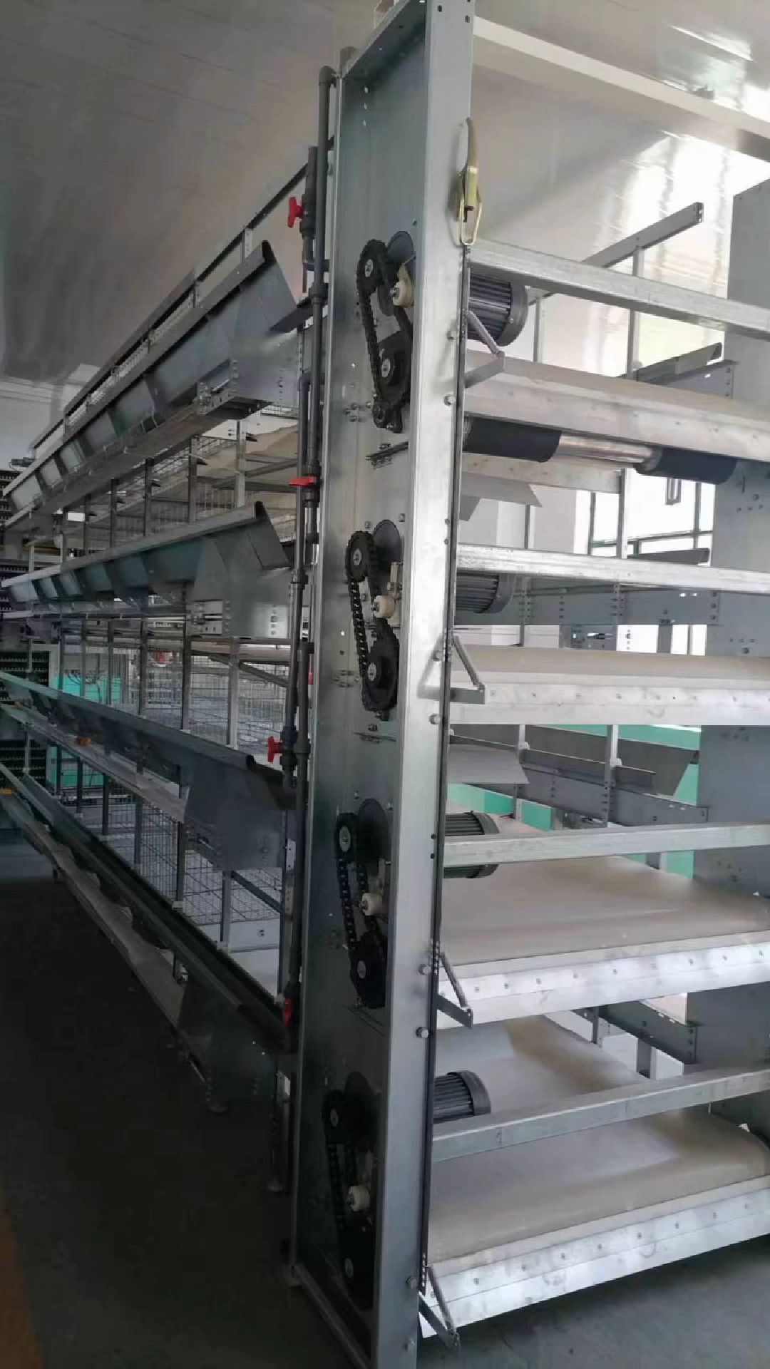 自动化养鸡设备有什么优点 #自动化养鸡设备 #热镀锌鸡笼