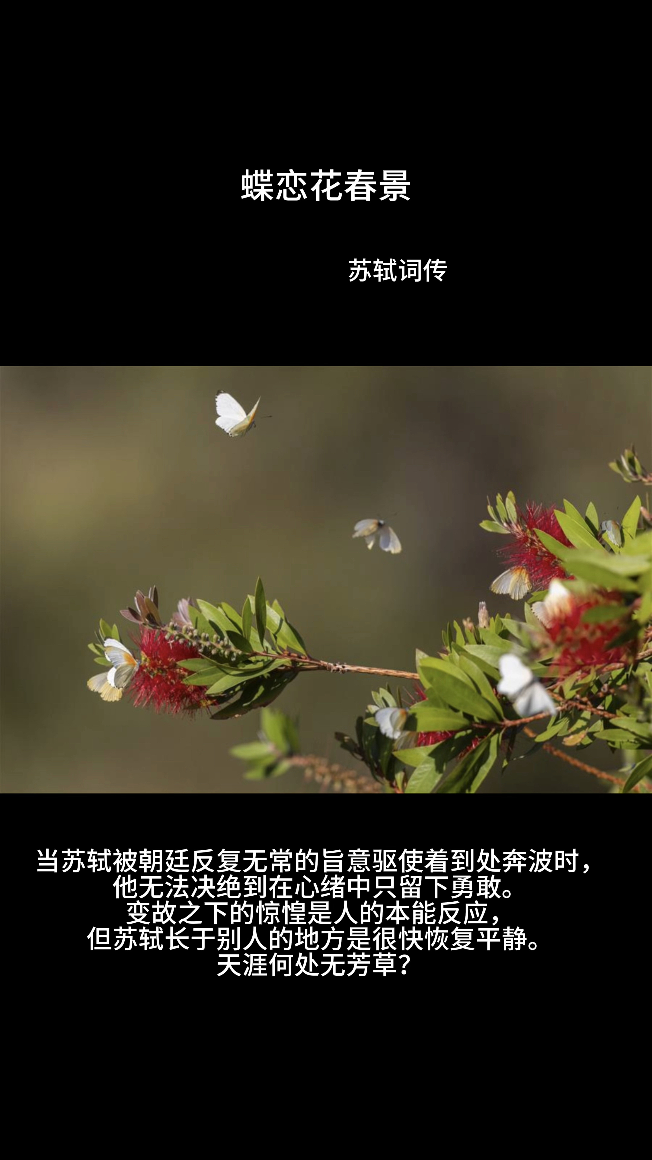 蝶恋花 ·春景  苏轼