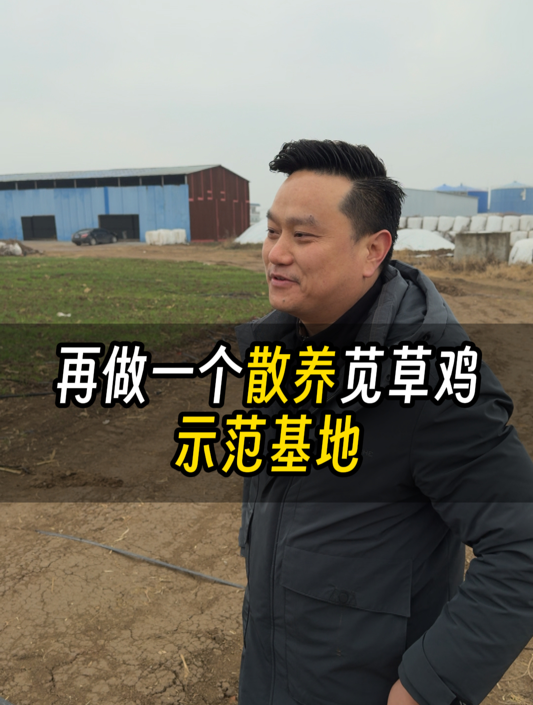 再做一个散养苋草鸡示范基地