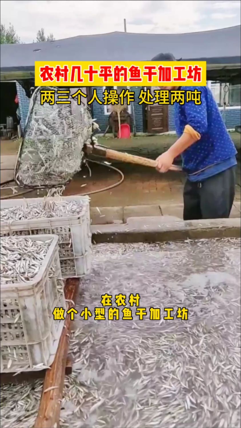 鱼干烘干机,小鱼烘干后,海鲜烘干机